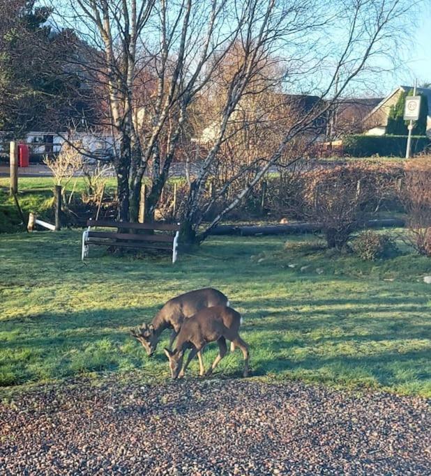 Roe Deer Cottage Near Glencoe Форт-Вільям Екстер'єр фото